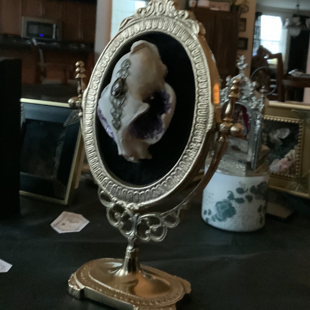 Custom made faux cat skull - Picture 2 of 2